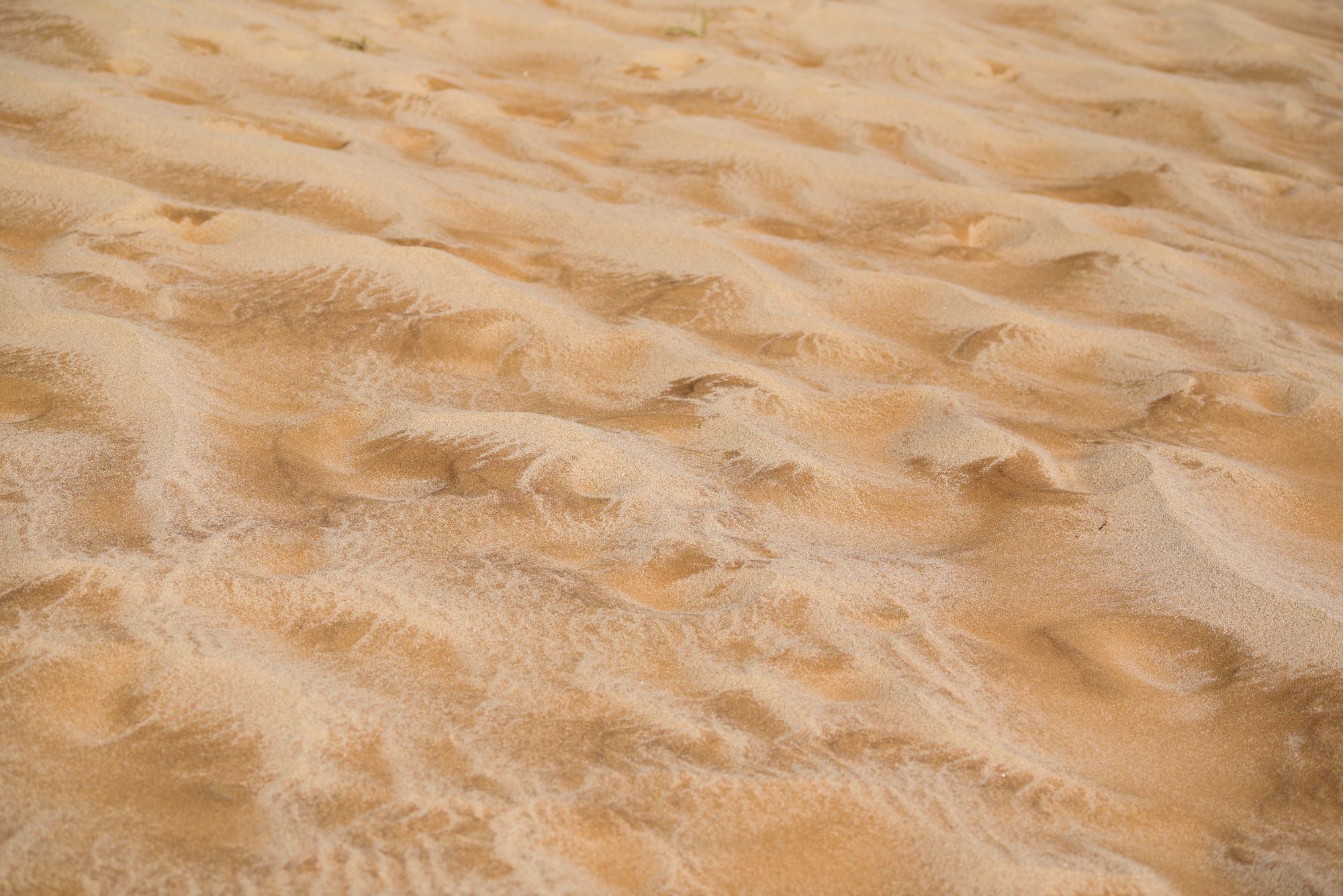 Highlights (188 of 231)_resized.jpg